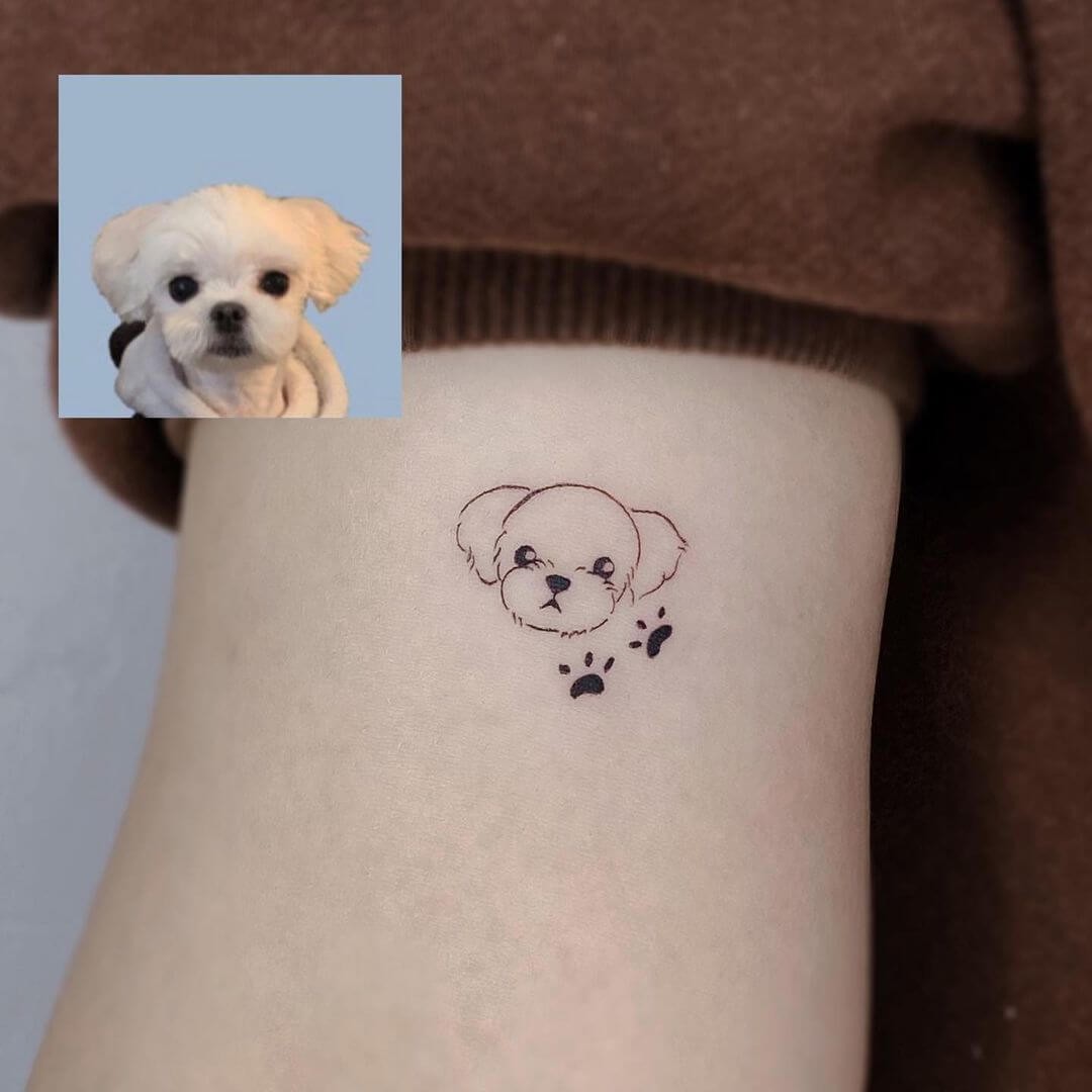 Baby Pet Tattoo