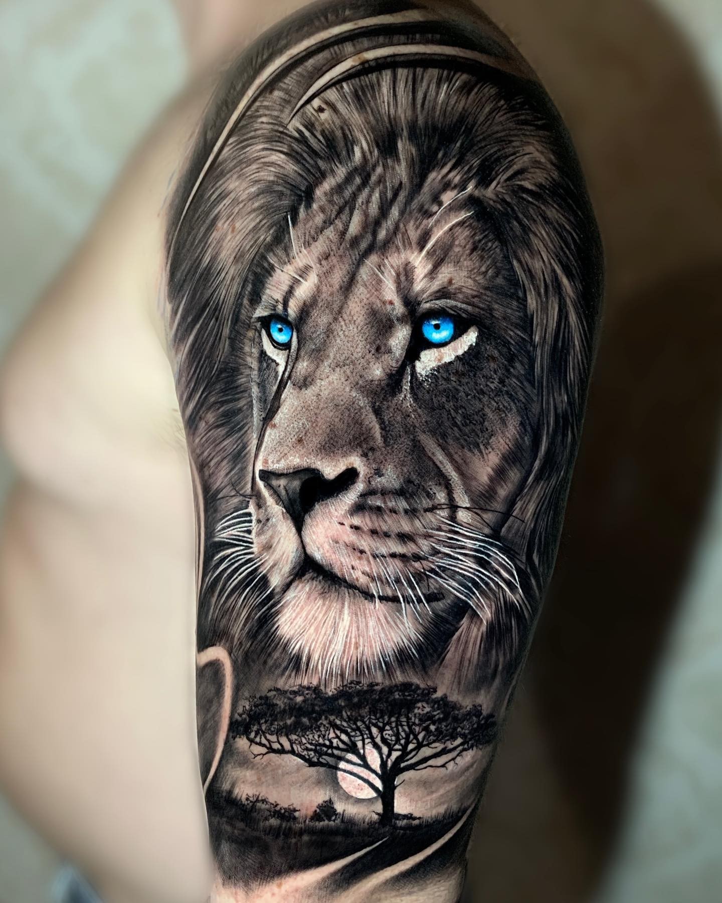 Lion Tattoo