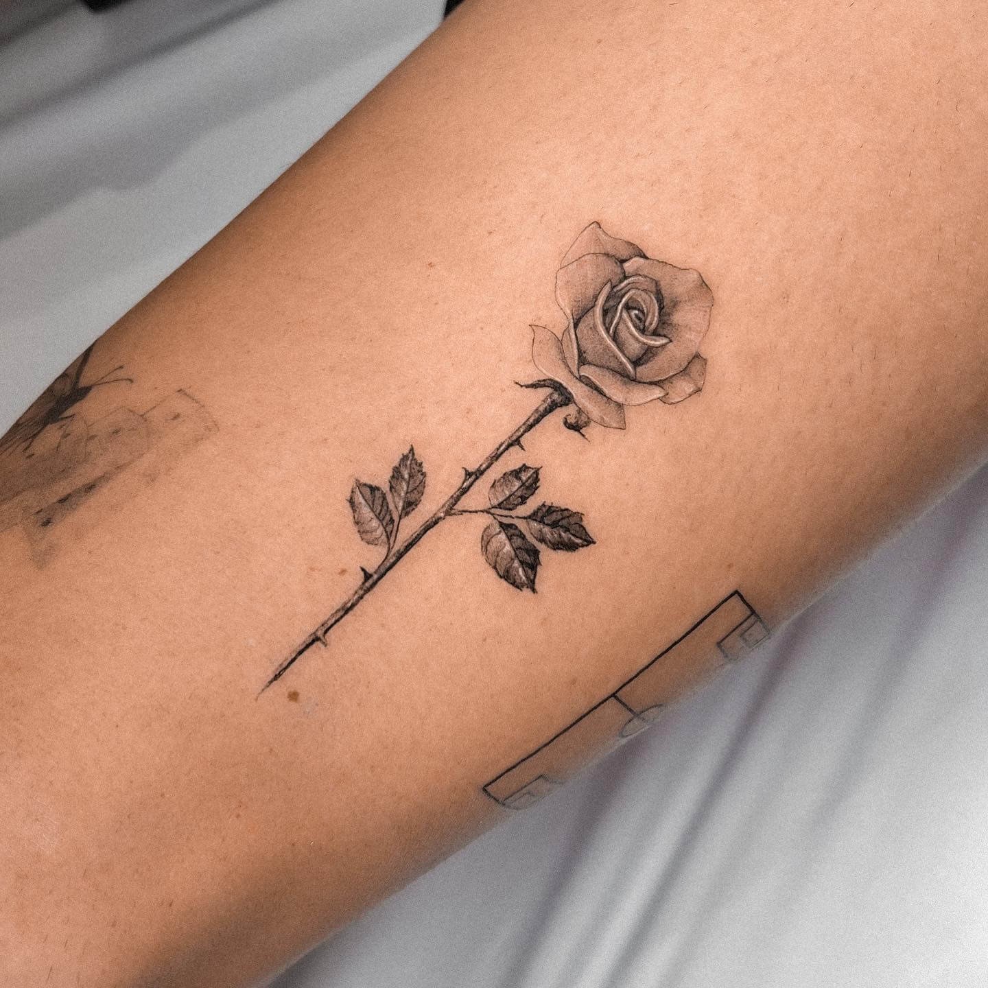 Black Fine Line New Rose Tattoo With Long Stem