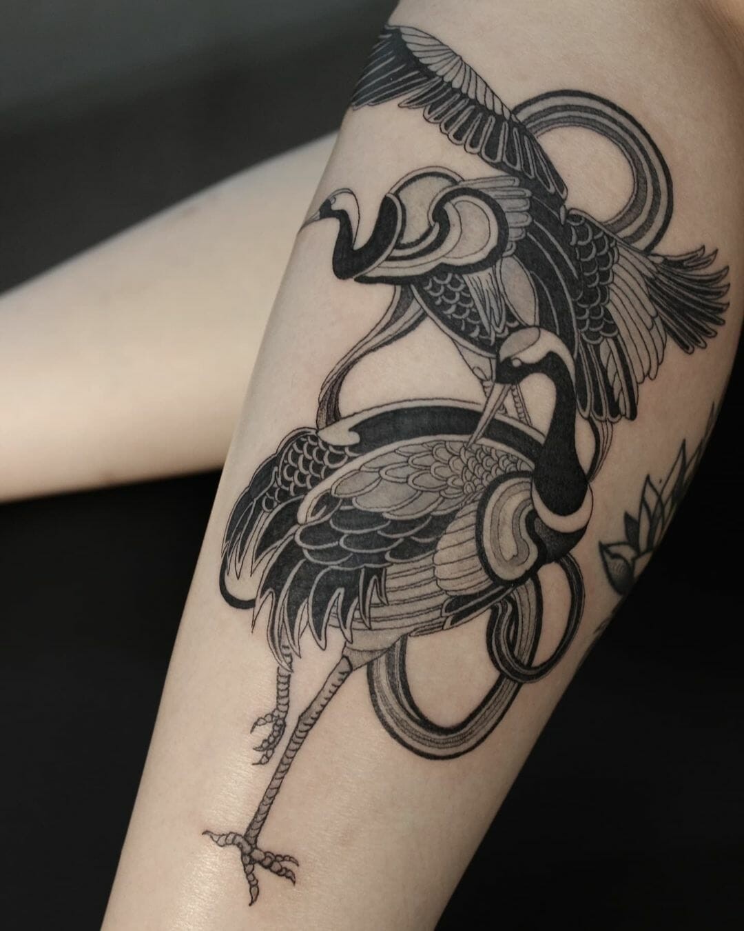 Dual Japanese Crane Tattoo Idea