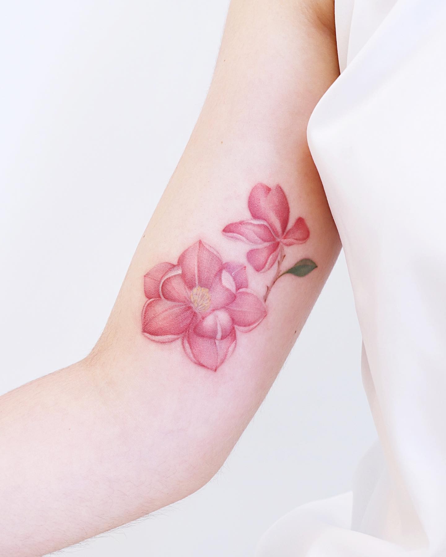 Soft And Colorful Magnolia Tattoo Design