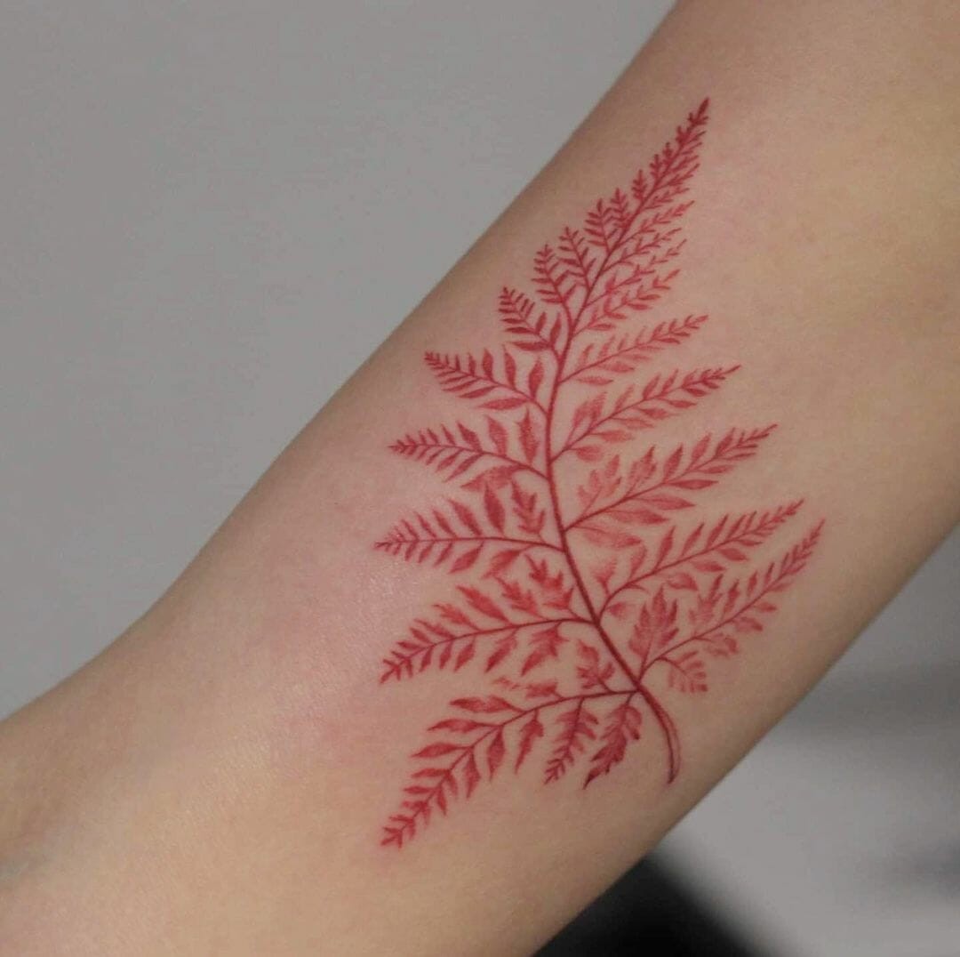 Ideas For Colourful Fern Tattoos