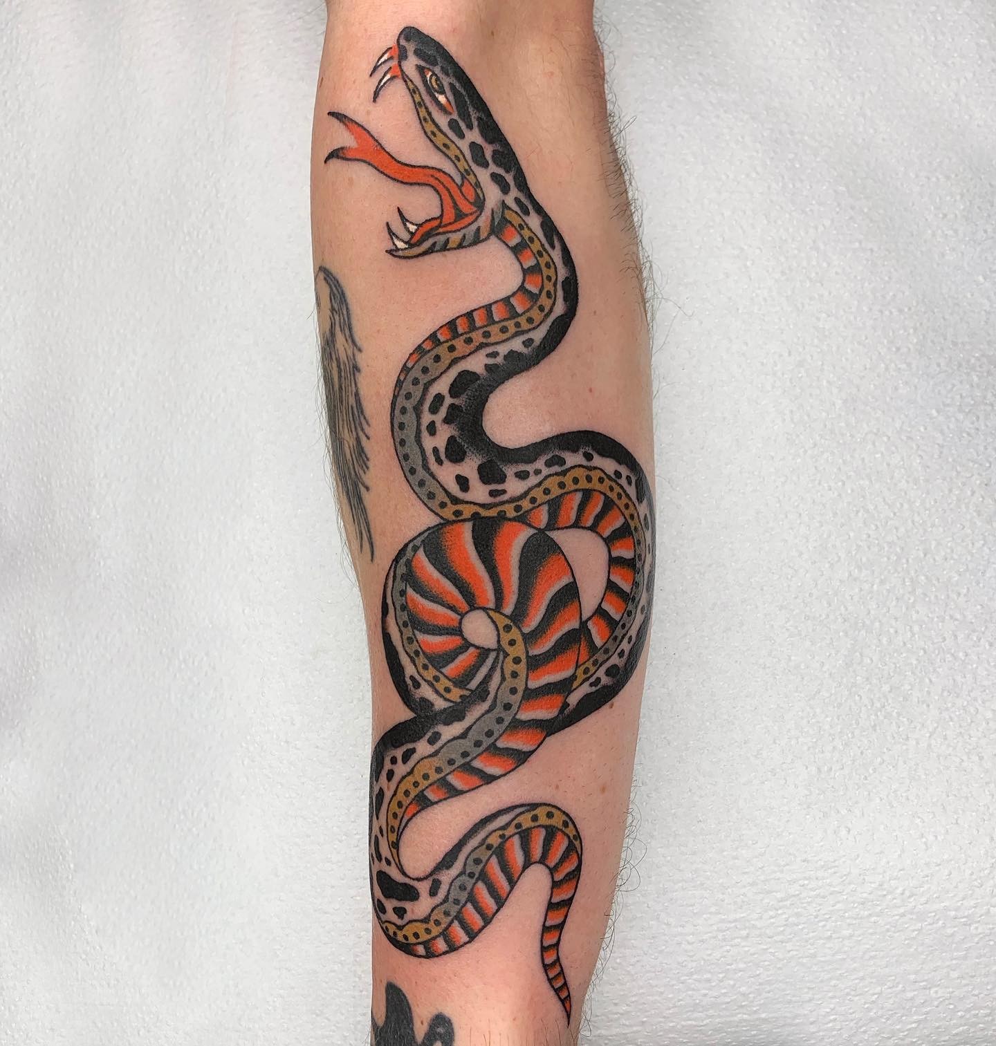 Colourful Traditional Snake Tattoo