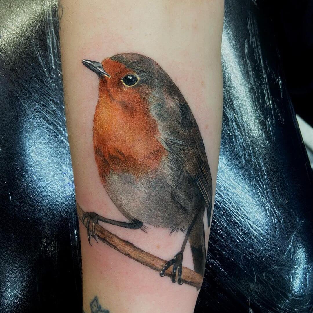 Wonderful Robin Tattoo Designs With Shading Effect