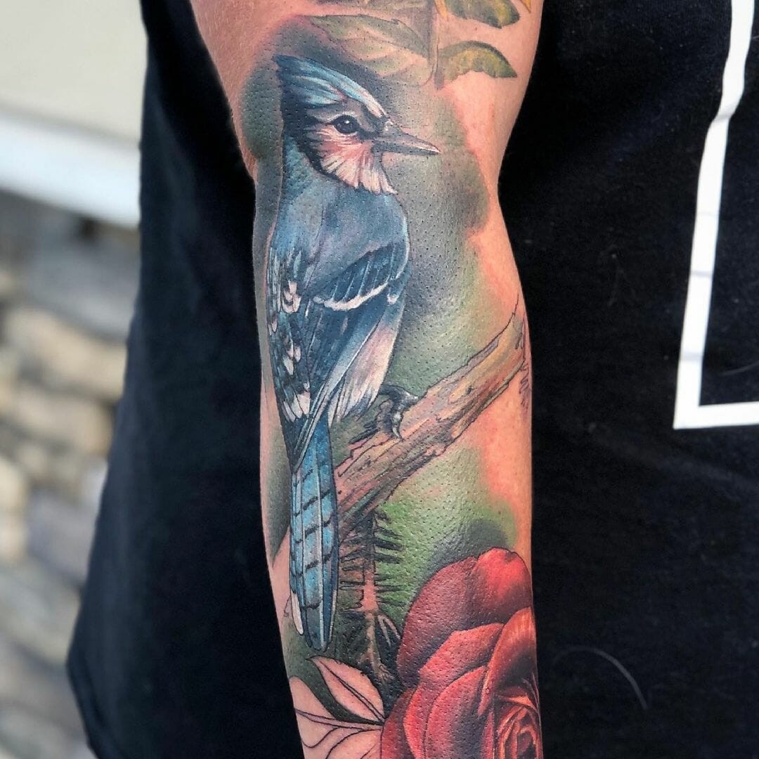 Realistic Blue Jay Tattoo