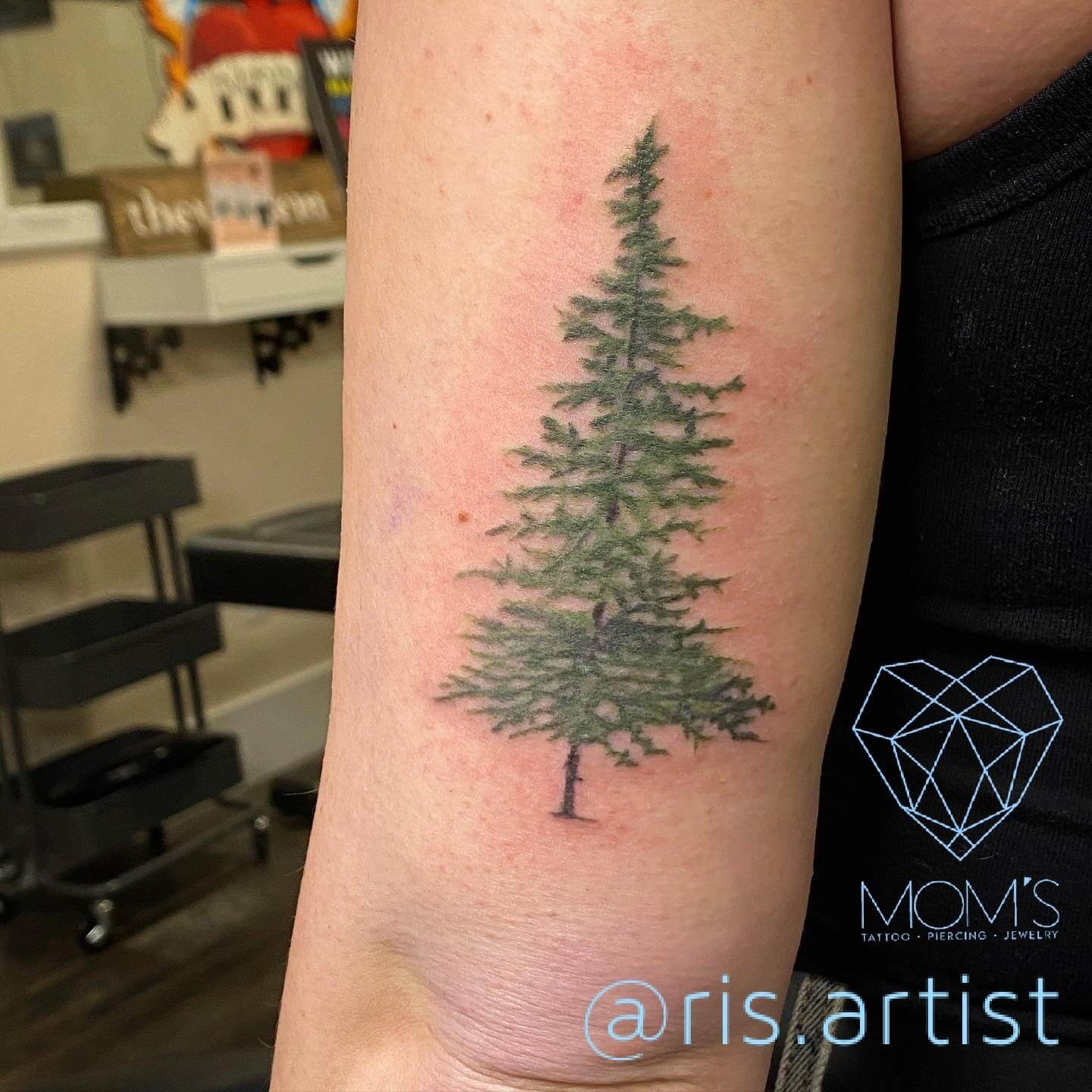 Back Upper Arm Evergreen Tattoo