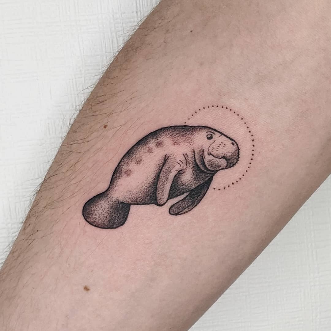 Cute Manatee Tattoos For Novices