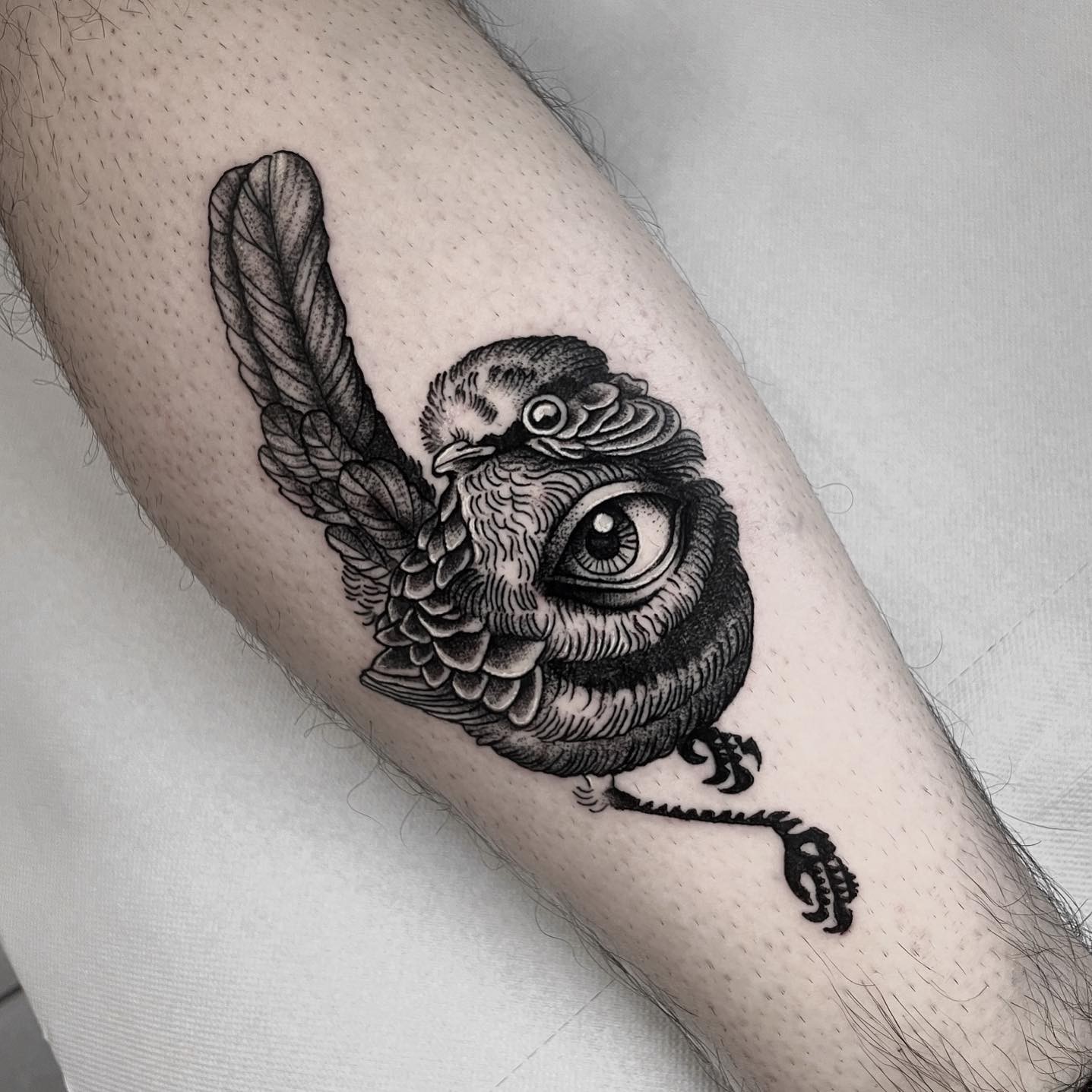 Bird Tattoo