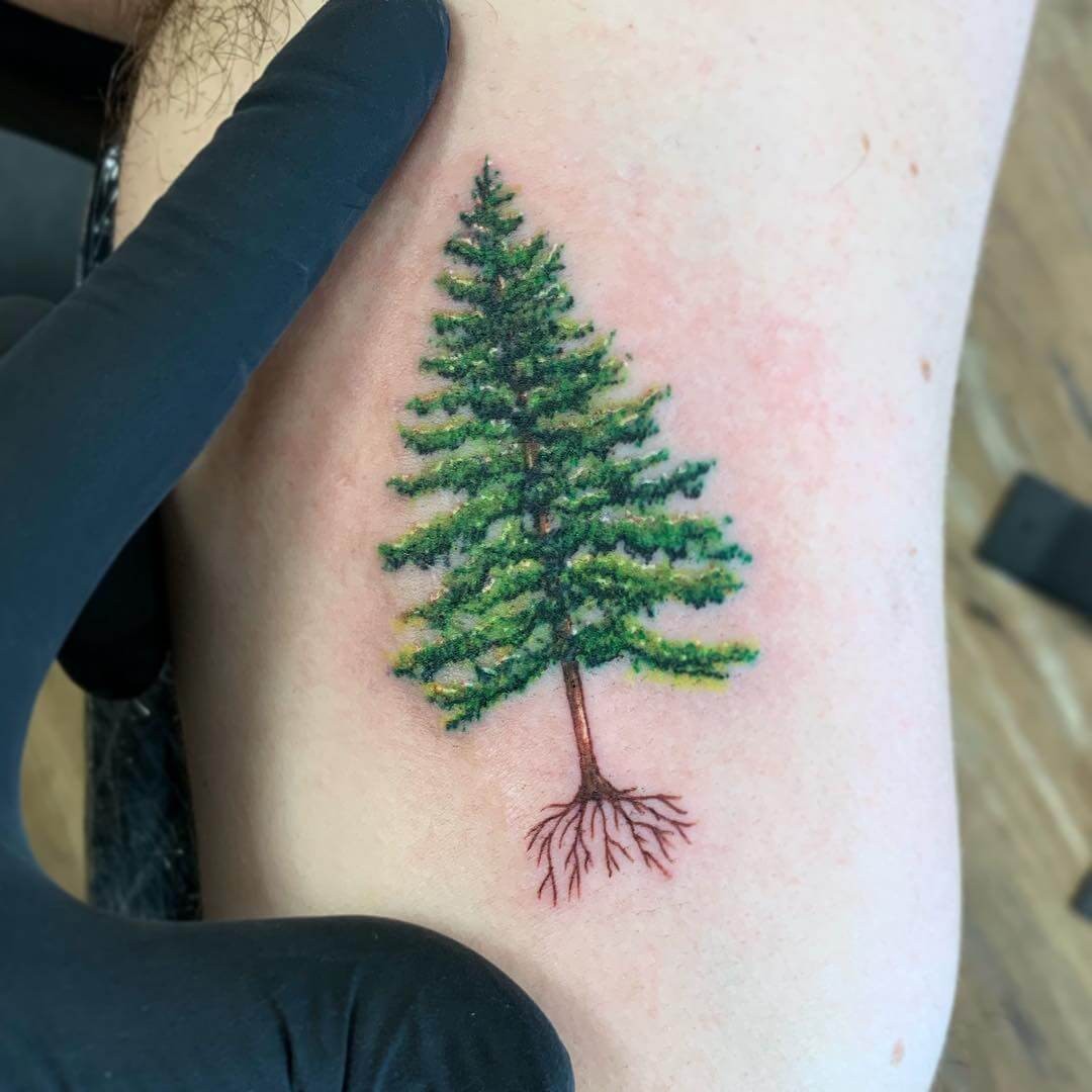 Evergreen Tree Tattoo