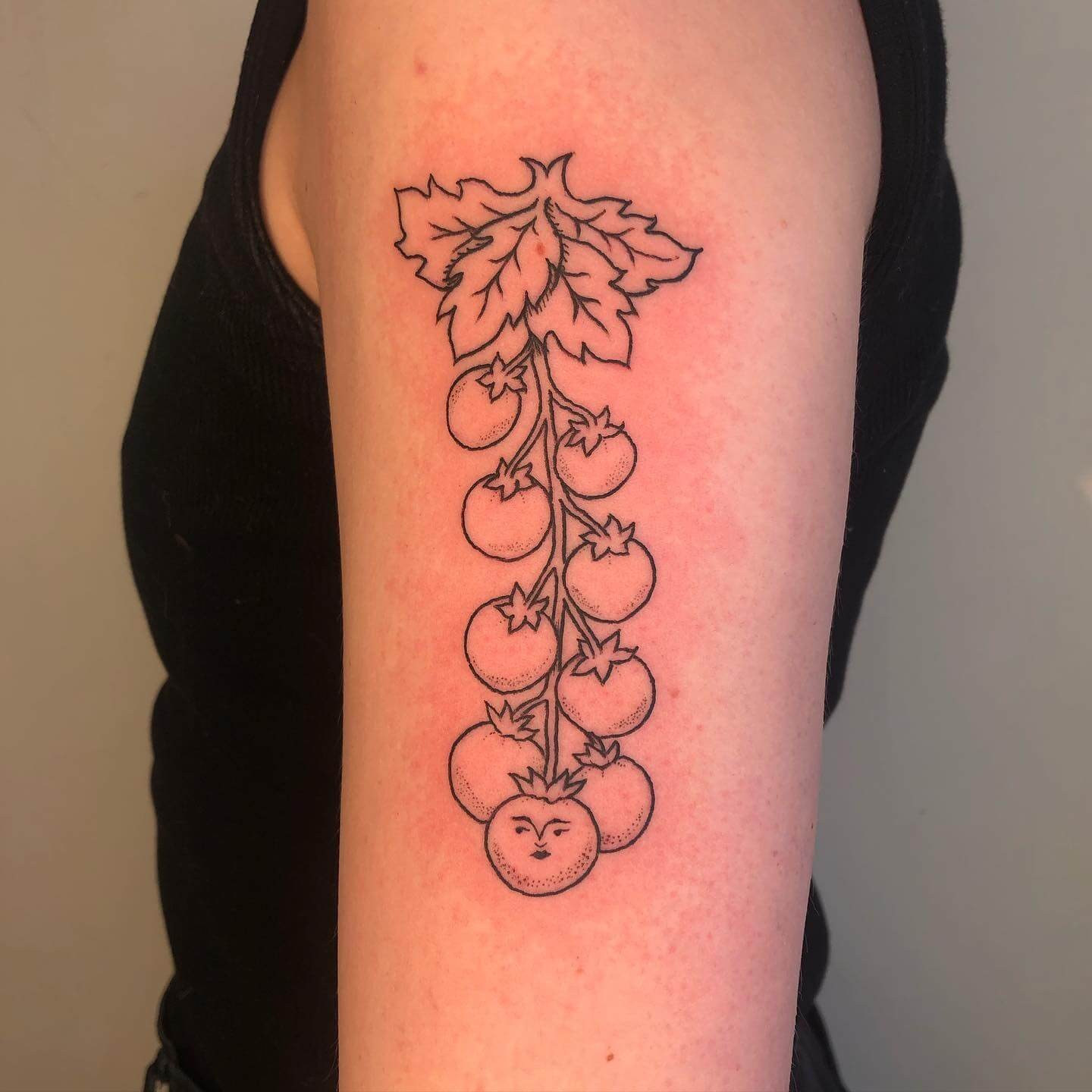 Tomato Vine Tattoo