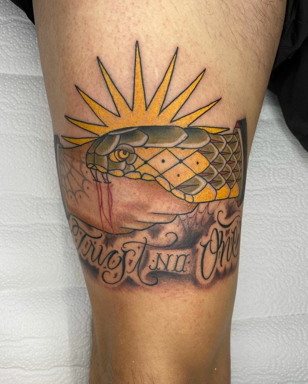 Trust No One Tattoo A Snake Biting Hand With Bright Sun Background Tattoo Art