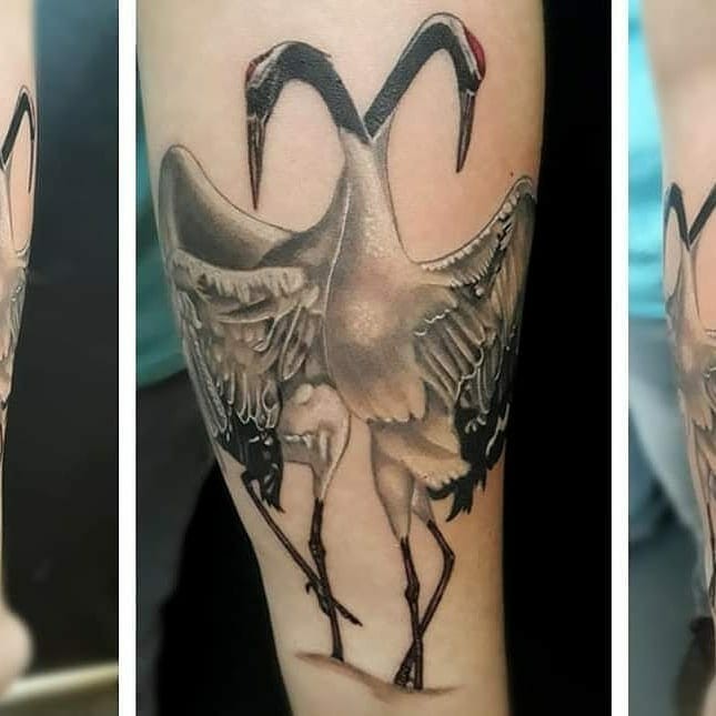 Japanese Crane Tattoo