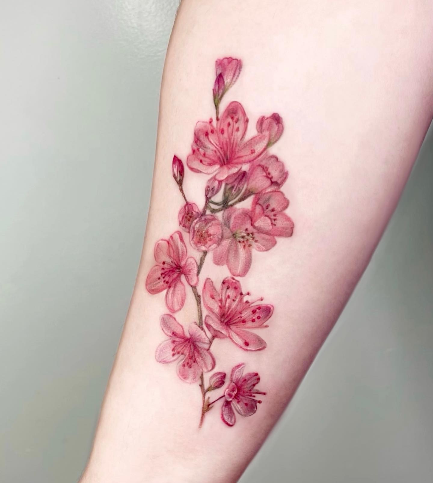 Cherry Blossom Branch Tattoo