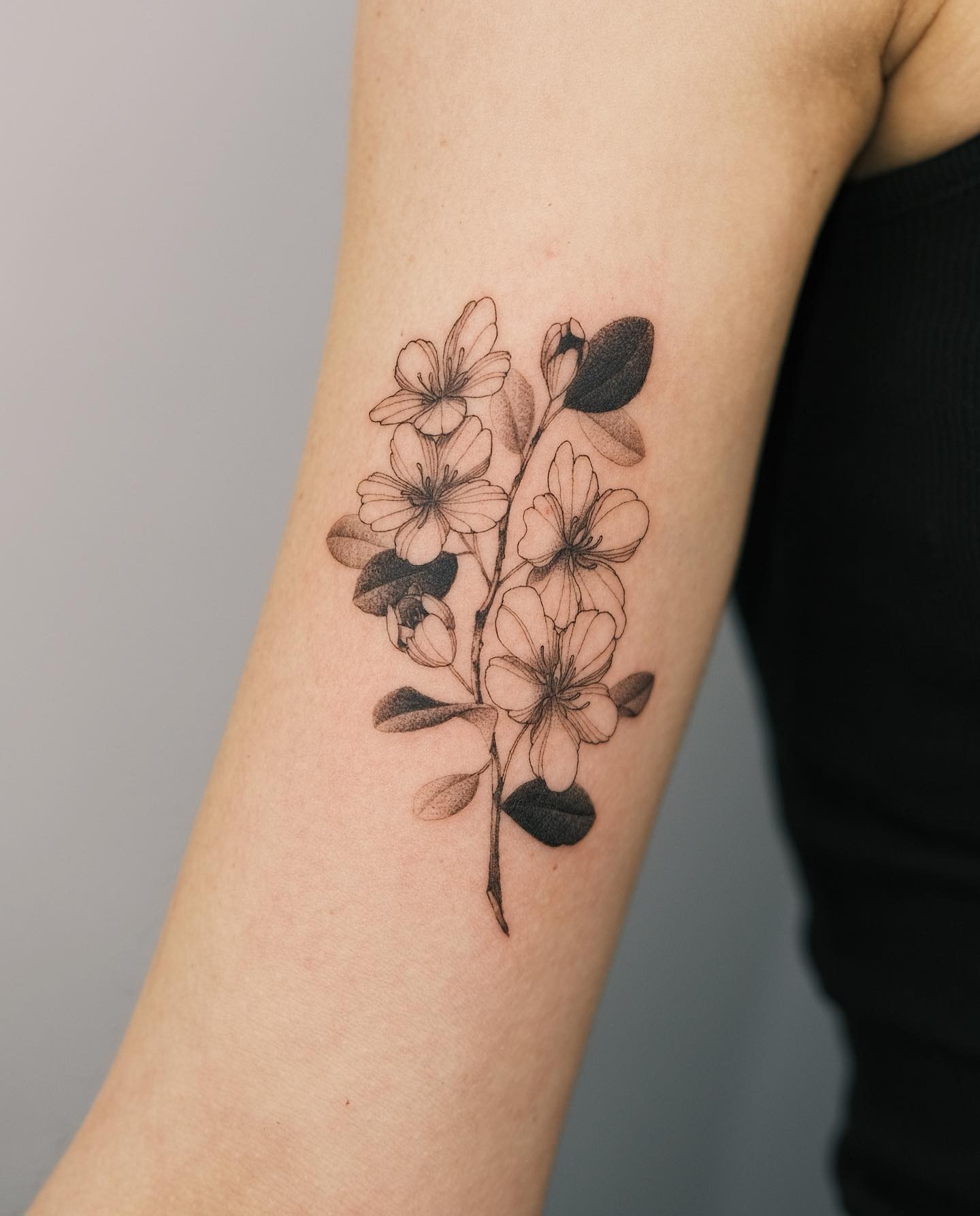 Cherry Blossoms Tattoo Design On The Arm