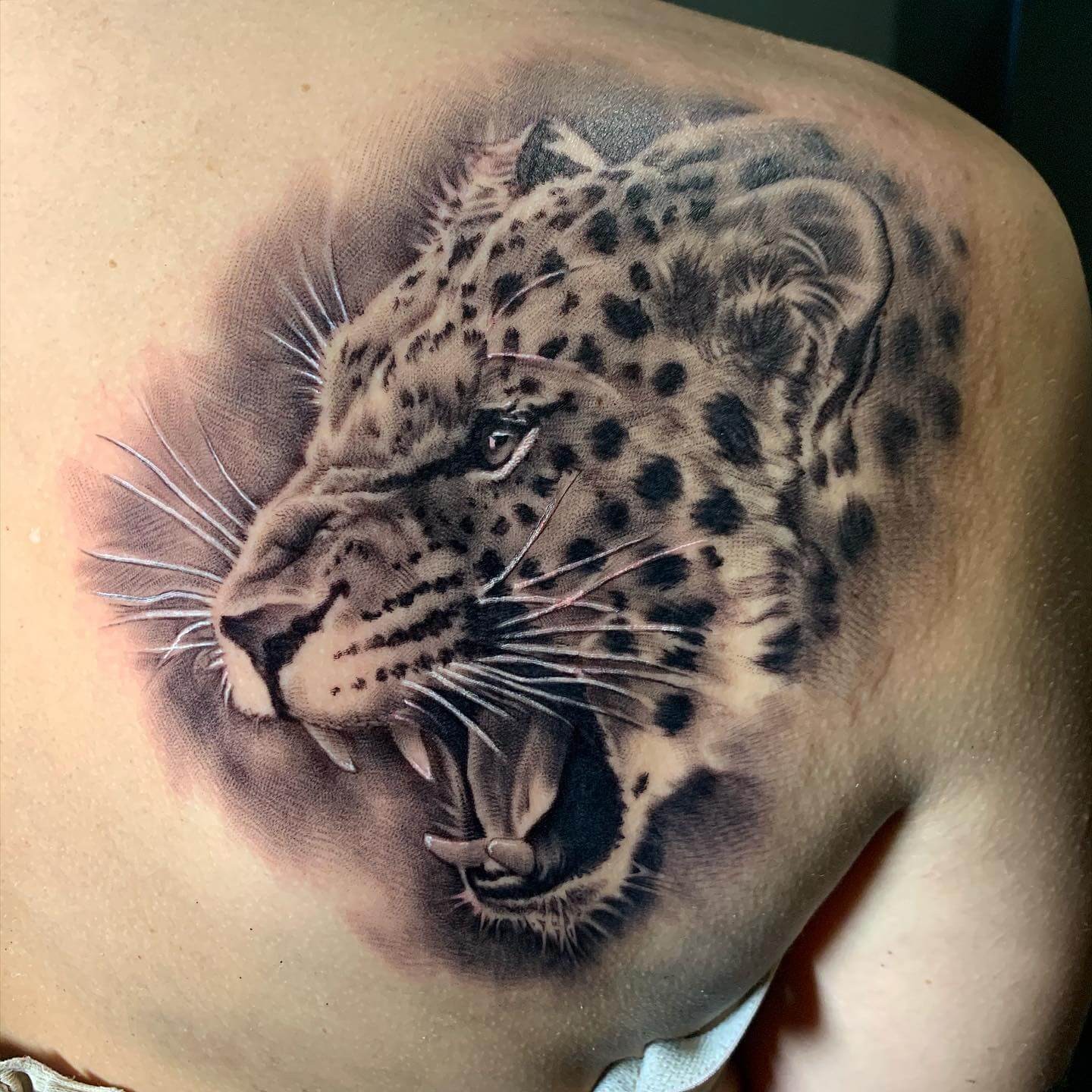 Back Cougar Tattoo Ideas