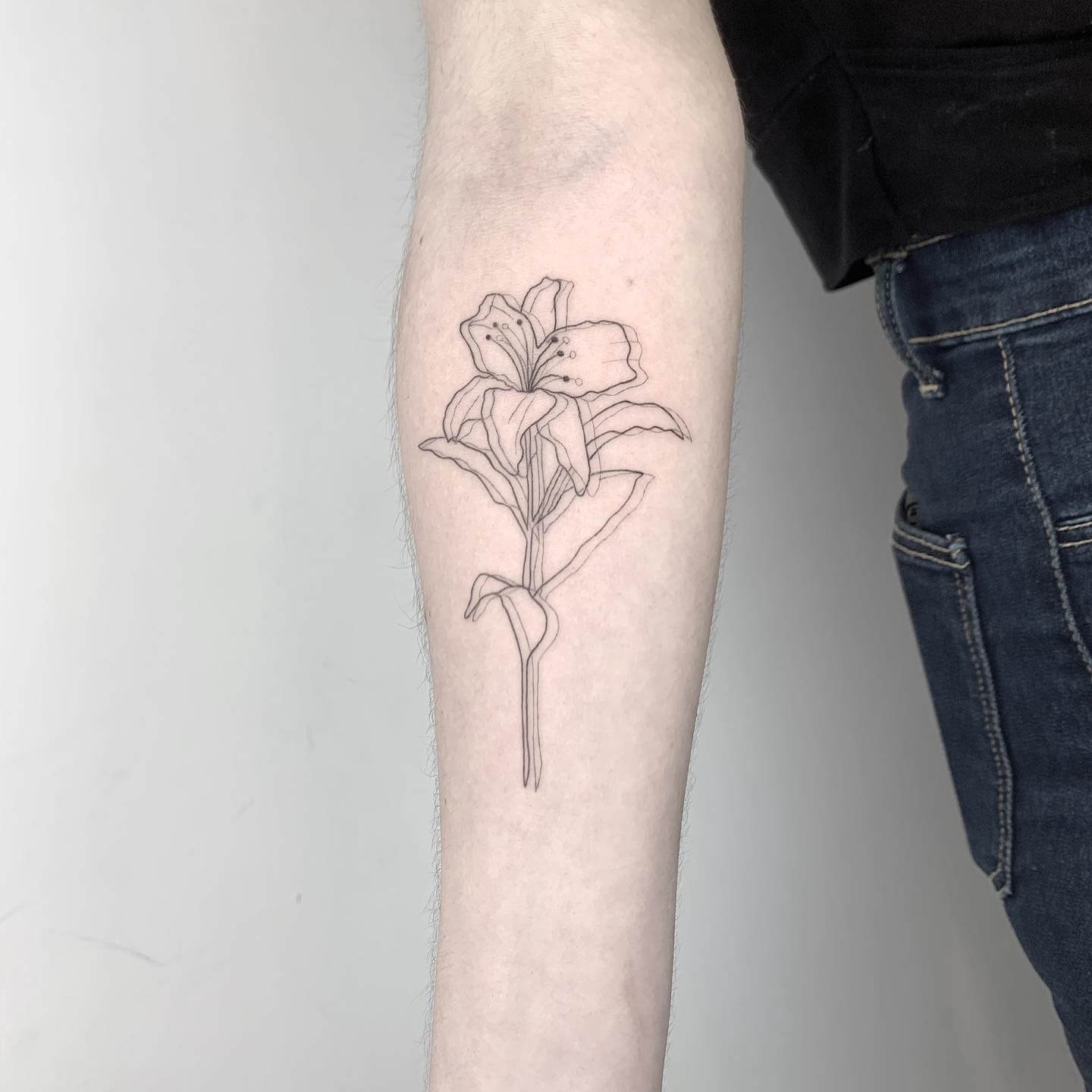 Lily Flower Tattoo Outline On Arm