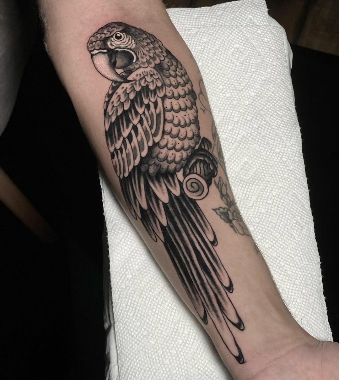 Parrot Tattoo Black And White