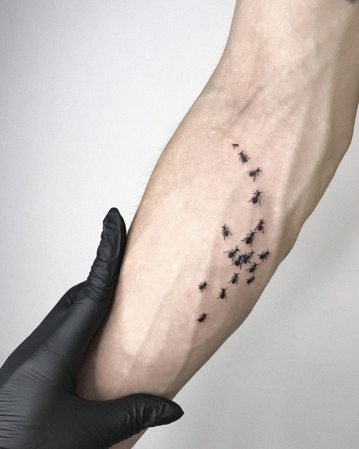 Simple Forearm Ant Tattoo