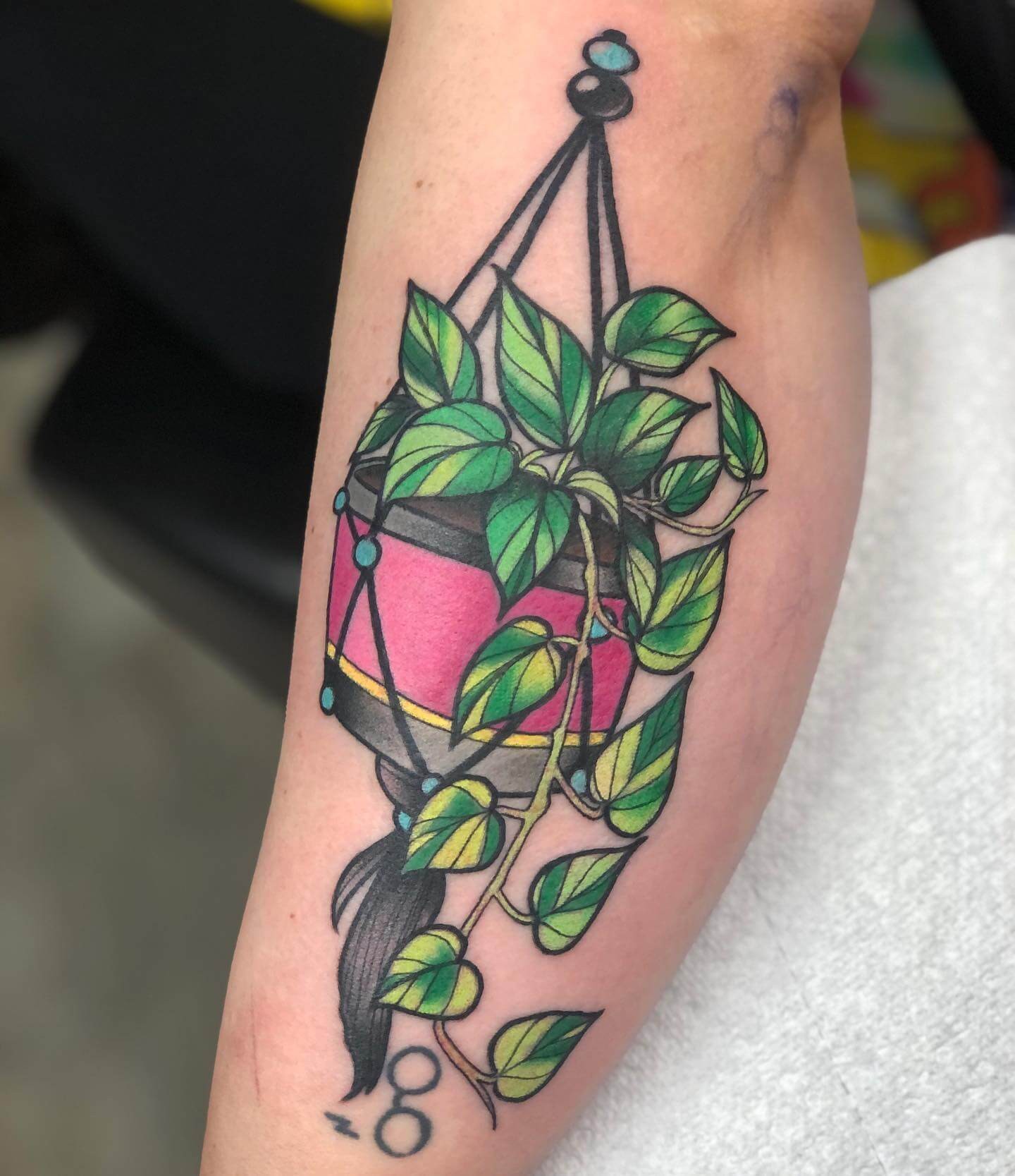 Pothos Tattoo