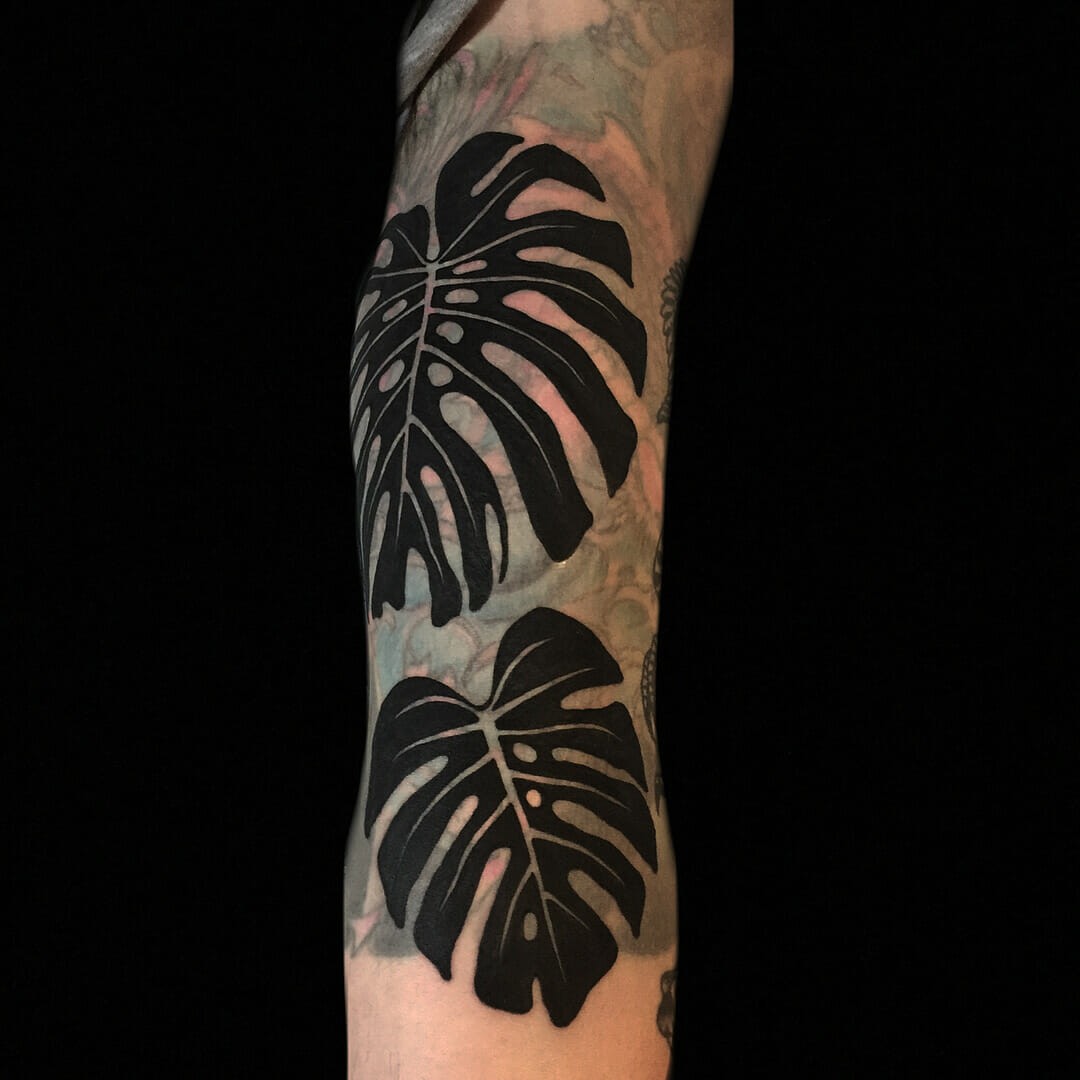 Black Monstera Leaves