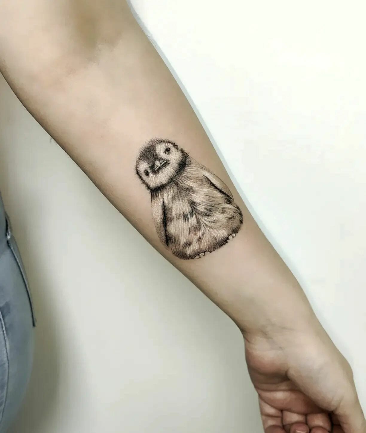 Realistic Penguin Tattoo