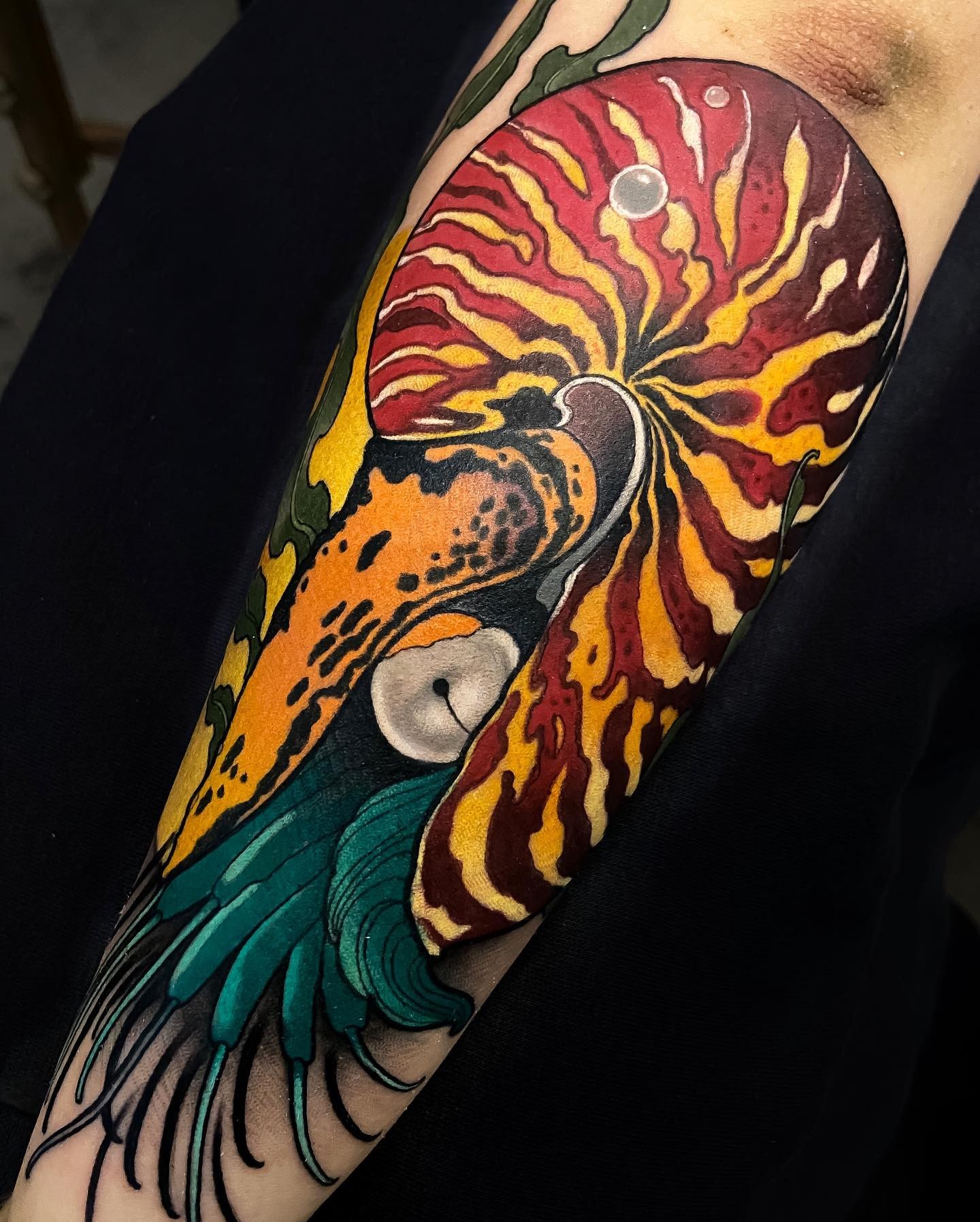 Vibrant Tattoo Of Nautilus