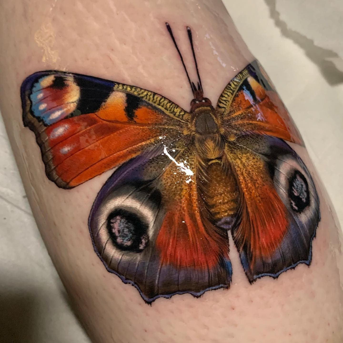 Large Butterfly Tattoo