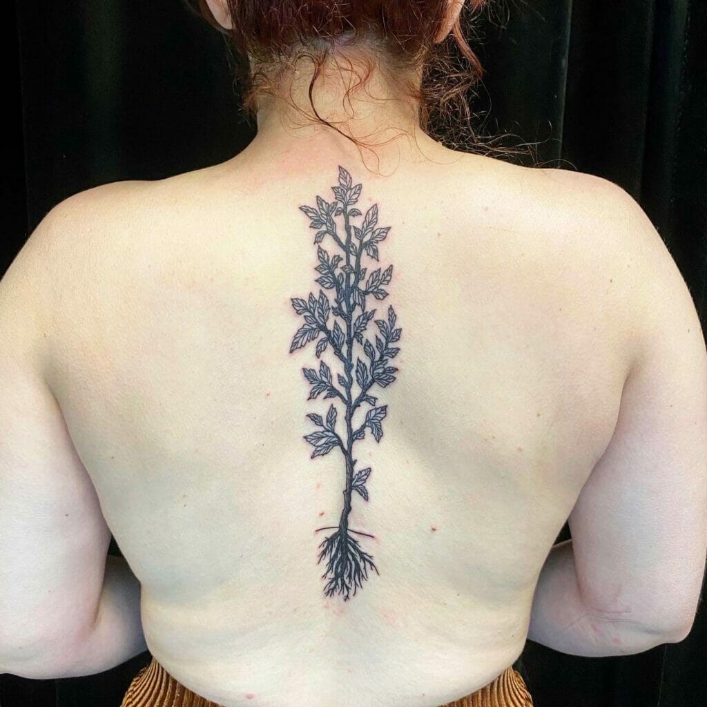 Sapling Temporary Tattoos