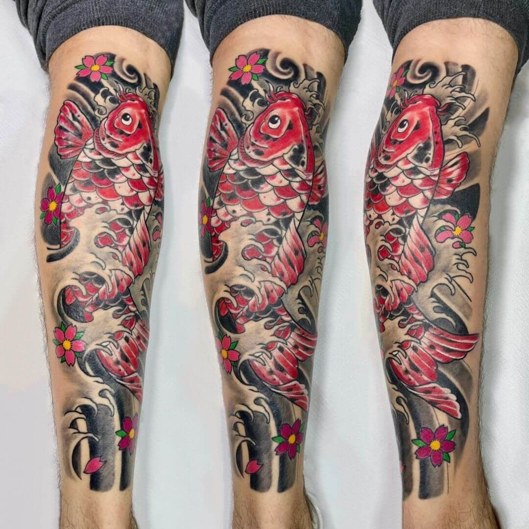 The Japanese Koi carp