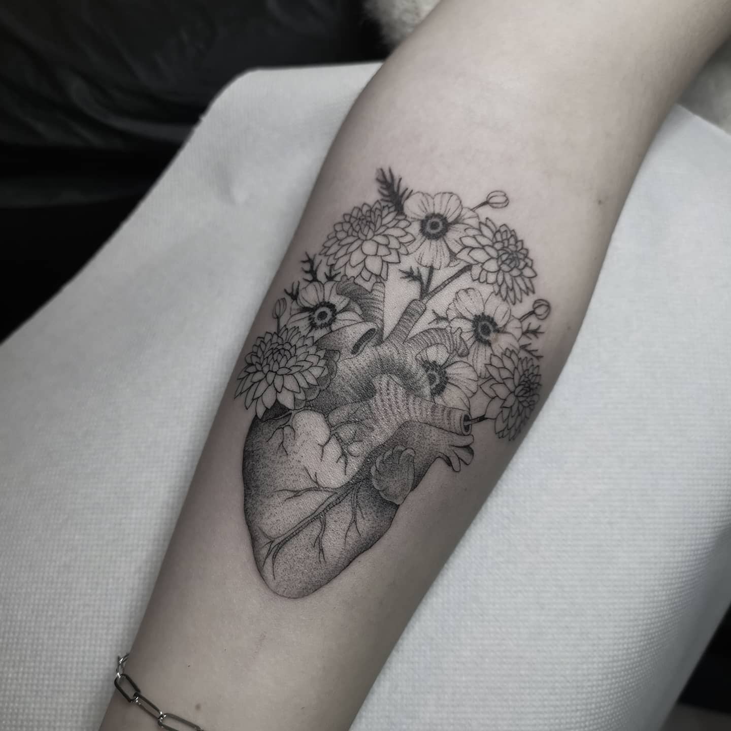 Anatomical Heart X Black Dahlia Tattoo