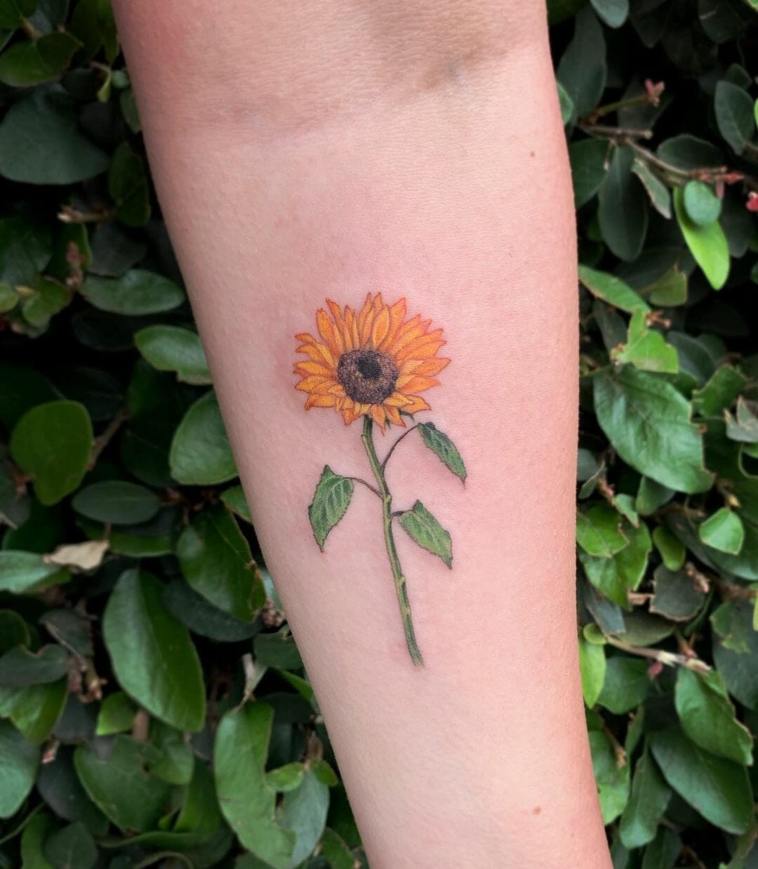 Small Watercolor Flower Tattoo