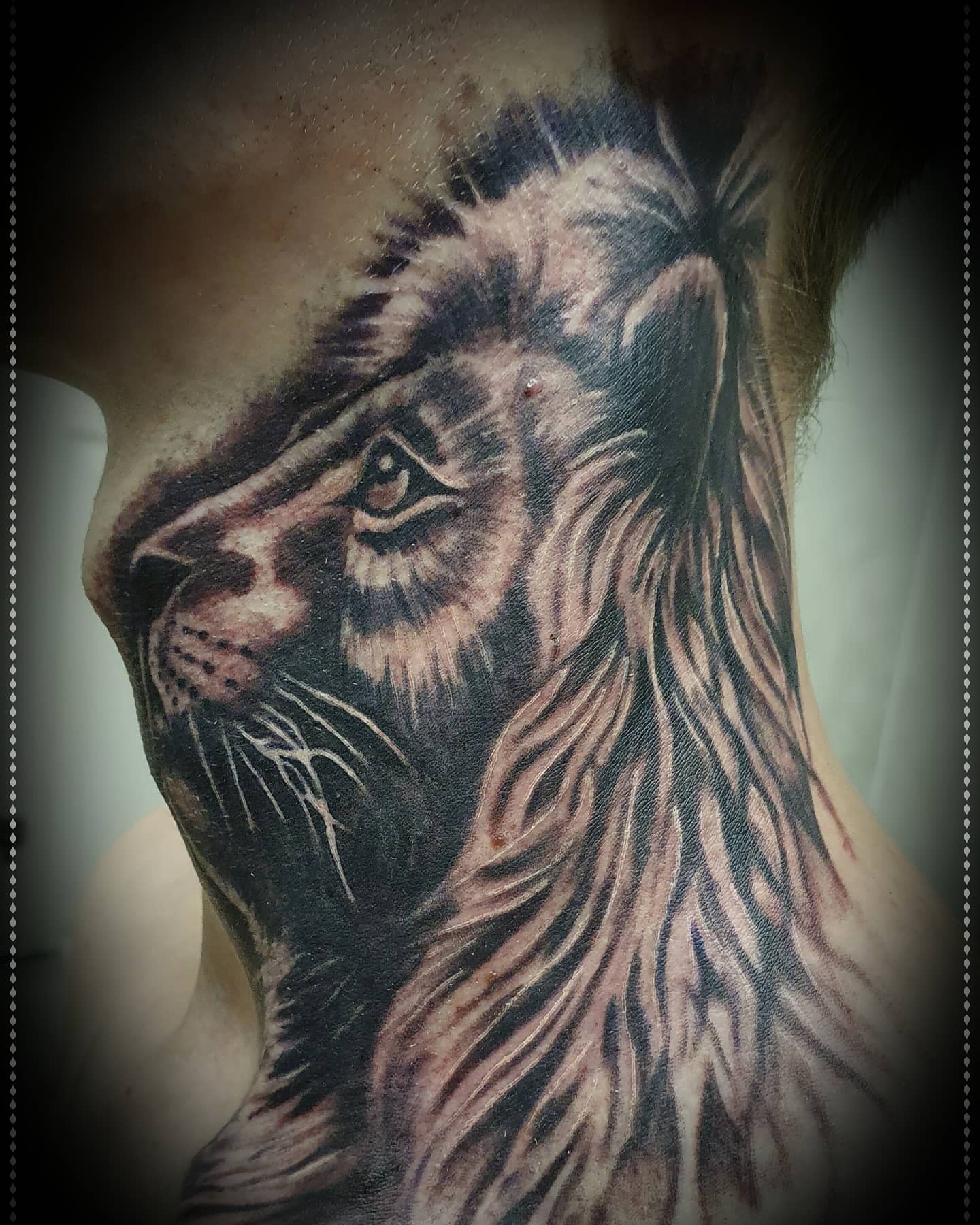 Neck Beautiful Lion Tattoo