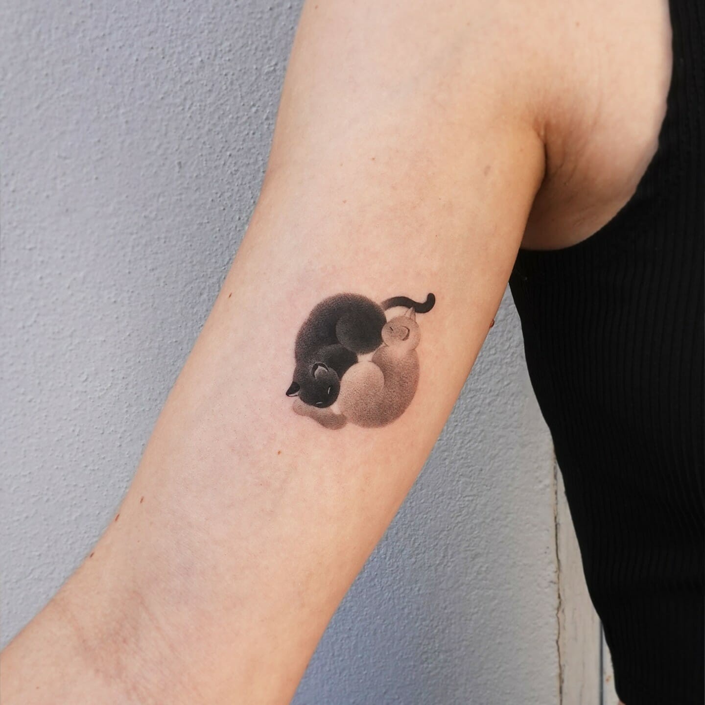 Adorable Small Cat Tattoo Ideas