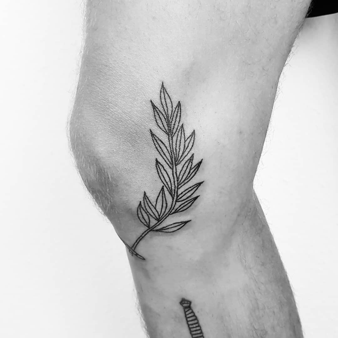 Laurel Wreaths On The Knee