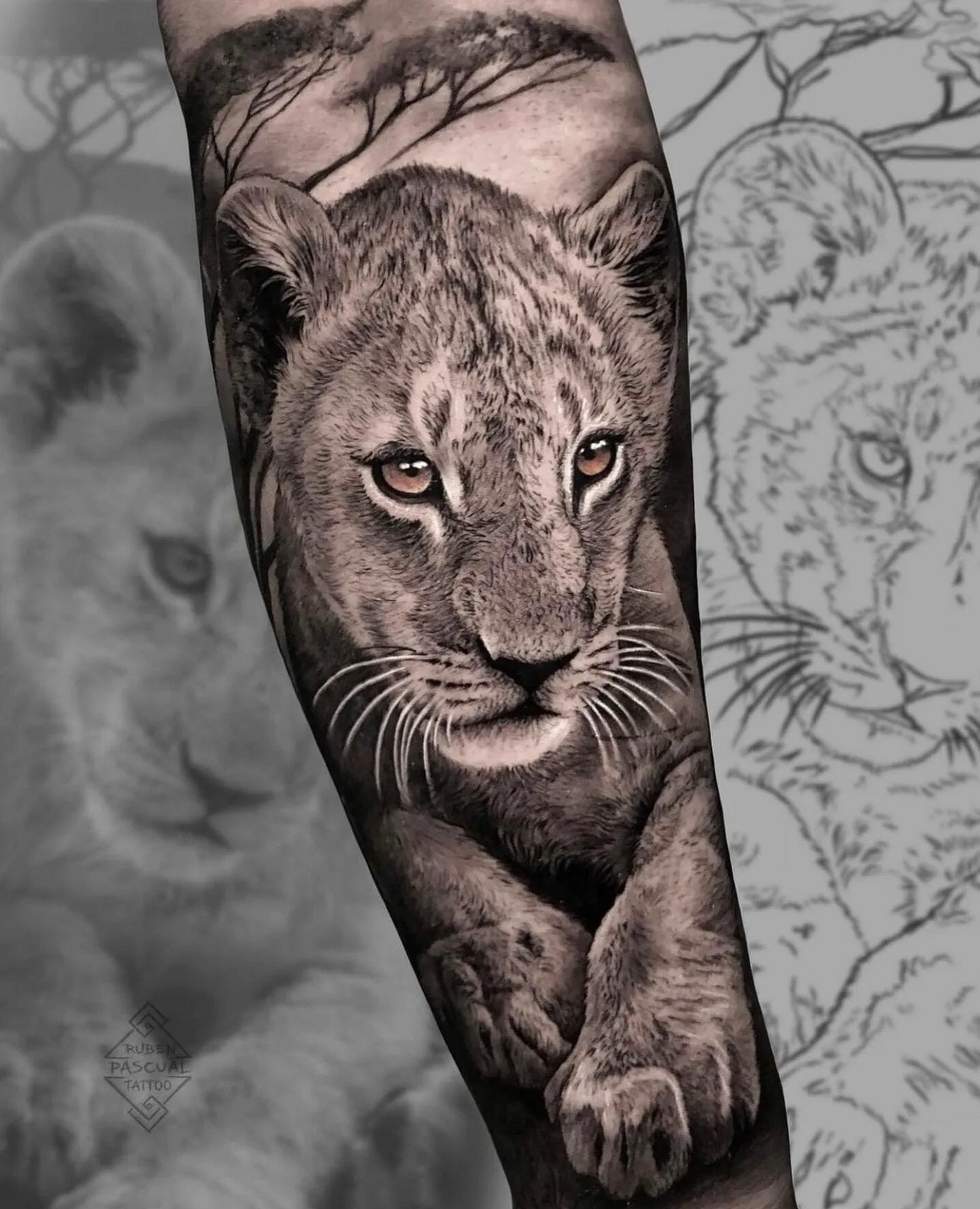 Realistic Black and Grey Lion Cub Tattoo