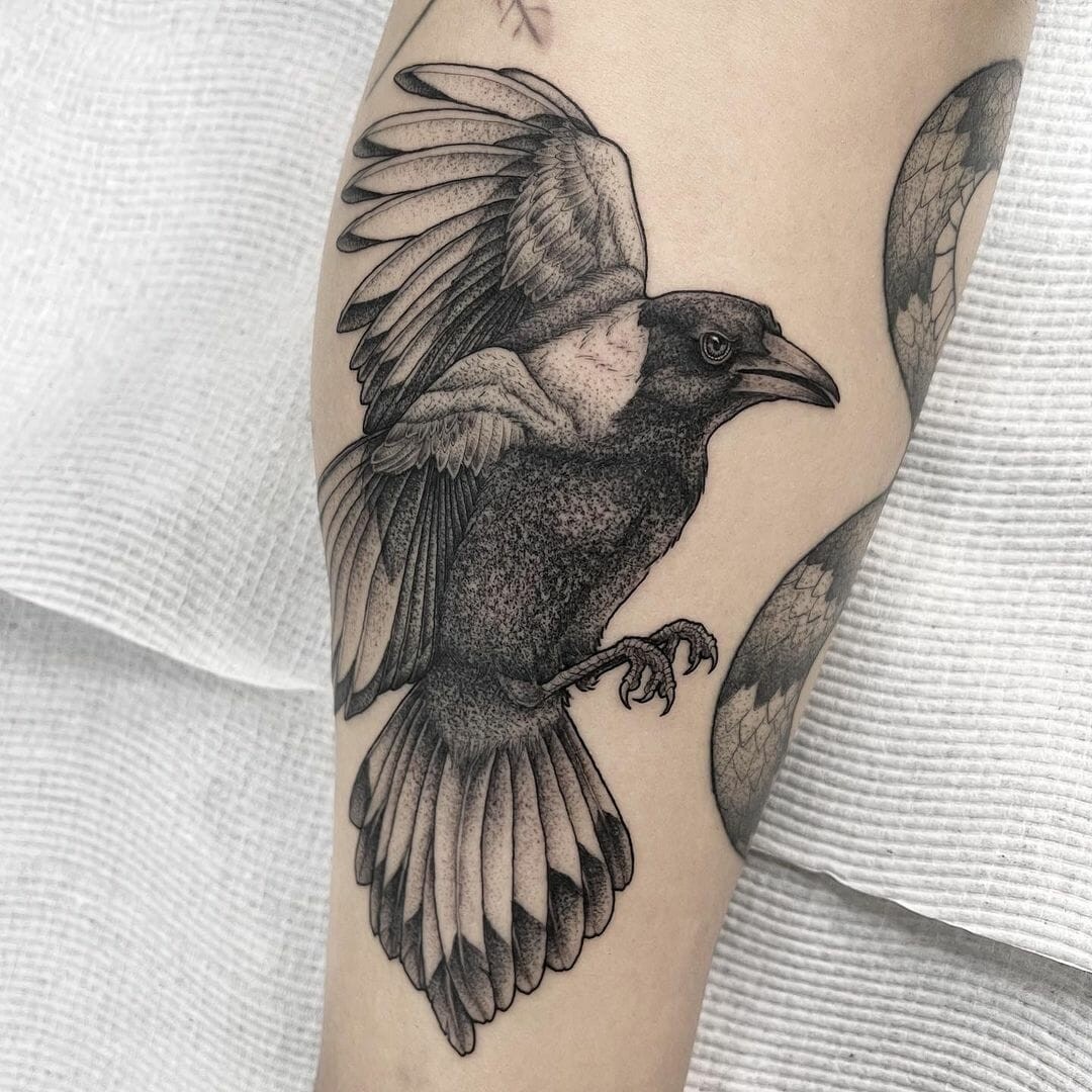 Australian Magpie Tattoo