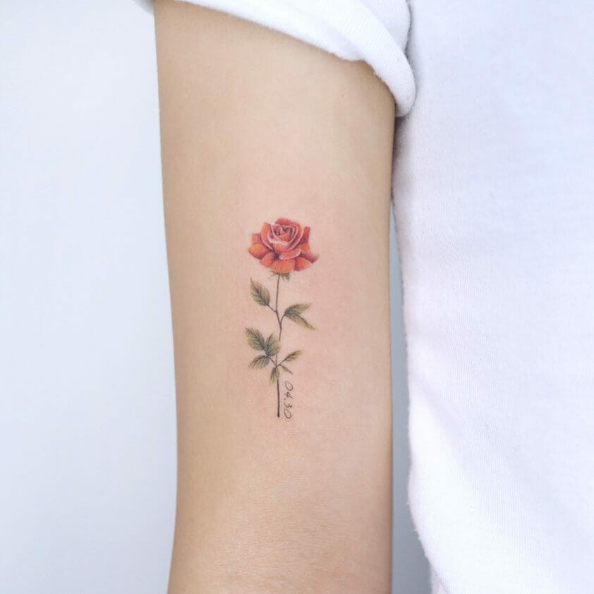 Red Rose Tattoo